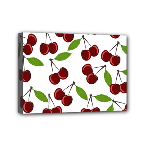 Fruit Life Mini Canvas 7  X 5  (stretched) by Valentinaart