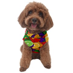 Fruit Life 2  Dog Sweater by Valentinaart