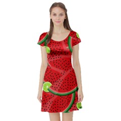 Fruit Life 3 Short Sleeve Skater Dress