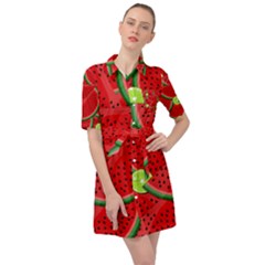 Fruit Life 3 Belted Shirt Dress