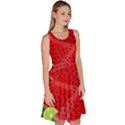 Fruit Life 3 Knee Length Skater Dress With Pockets View3