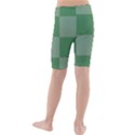 Green Gingham Check Squares Pattern Kids  Mid Length Swim Shorts View2