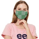 Green Gingham Check Squares Pattern Fitted Cloth Face Mask (Adult) View1