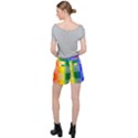 LGBT Rainbow Buffalo Check LGBTQ Pride Squares Pattern Ripstop Shorts View2