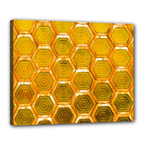 Hexagon Windows Canvas 20  X 16  (stretched) by essentialimage