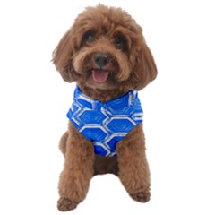 Hexagon Windows Dog Sweater by essentialimage