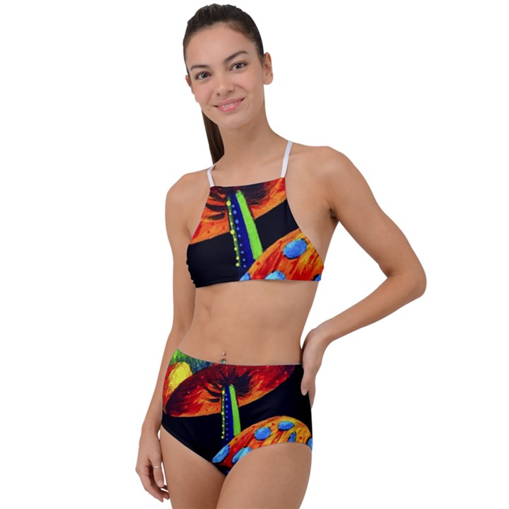 Mushroom Painting  High Waist Tankini Set