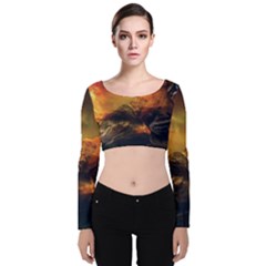 Tiger King In A Fantastic Landscape From Fonebook Velvet Long Sleeve Crop Top by 2853937