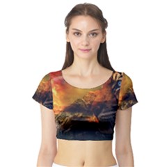 Tiger King In A Fantastic Landscape From Fonebook Short Sleeve Crop Top by 2853937