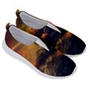 Tiger King In A Fantastic Landscape From Fonebook No Lace Lightweight Shoes View3