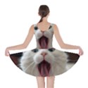 Wow Kitty Cat From Fonebook Skater Dress View2