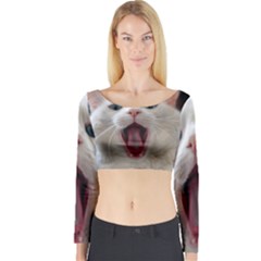 Wow Kitty Cat From Fonebook Long Sleeve Crop Top by 2853937