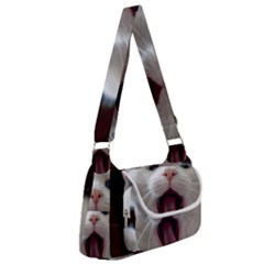 Wow Kitty Cat From Fonebook Multipack Bag by 2853937