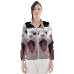 Wow Kitty Cat From Fonebook Women s Windbreaker