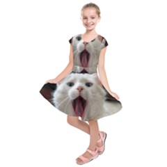 Wow Kitty Cat From Fonebook Kids  Short Sleeve Dress by 2853937