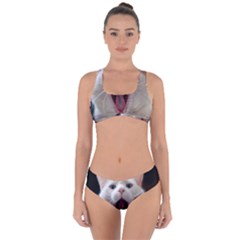 Wow Kitty Cat From Fonebook Criss Cross Bikini Set by 2853937