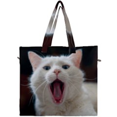 Wow Kitty Cat From Fonebook Canvas Travel Bag