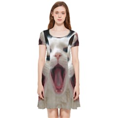 Wow Kitty Cat From Fonebook Inside Out Cap Sleeve Dress by 2853937