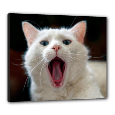 Wow Kitty Cat From Fonebook Canvas 24  X 20  (stretched) by 2853937