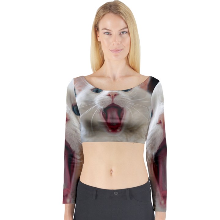 Wow Kitty Cat From Fonebook Long Sleeve Crop Top