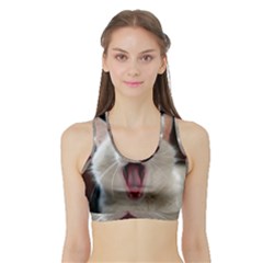 Wow Kitty Cat From Fonebook Sports Bra With Border by 2853937