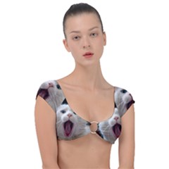 Wow Kitty Cat From Fonebook Cap Sleeve Ring Bikini Top by 2853937