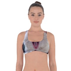 Wow Kitty Cat From Fonebook Got No Strings Sports Bra by 2853937