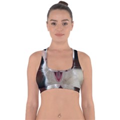 Wow Kitty Cat From Fonebook Cross Back Hipster Bikini Top  by 2853937