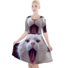 Wow Kitty Cat From Fonebook Quarter Sleeve A-line Dress by 2853937