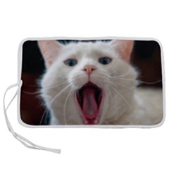 Wow Kitty Cat From Fonebook Pen Storage Case (s)