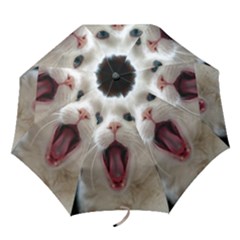 Wow Kitty Cat From Fonebook Folding Umbrellas by 2853937