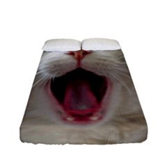 Wow Kitty Cat From Fonebook Fitted Sheet (full/ Double Size) by 2853937