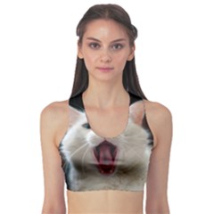 Wow Kitty Cat From Fonebook Sports Bra by 2853937