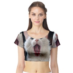 Wow Kitty Cat From Fonebook Short Sleeve Crop Top by 2853937