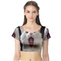 Wow Kitty Cat From Fonebook Short Sleeve Crop Top View1