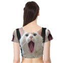 Wow Kitty Cat From Fonebook Short Sleeve Crop Top View2