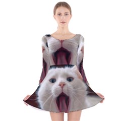 Wow Kitty Cat From Fonebook Long Sleeve Velvet Skater Dress by 2853937