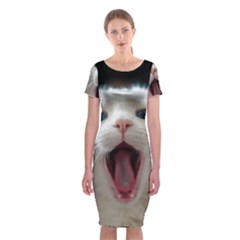 Wow Kitty Cat From Fonebook Classic Short Sleeve Midi Dress by 2853937