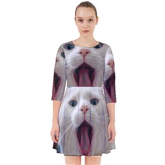 Wow Kitty Cat From Fonebook Smock Dress by 2853937