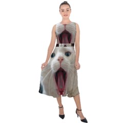 Wow Kitty Cat From Fonebook Midi Tie-back Chiffon Dress by 2853937