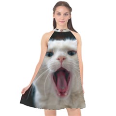 Wow Kitty Cat From Fonebook Halter Neckline Chiffon Dress  by 2853937