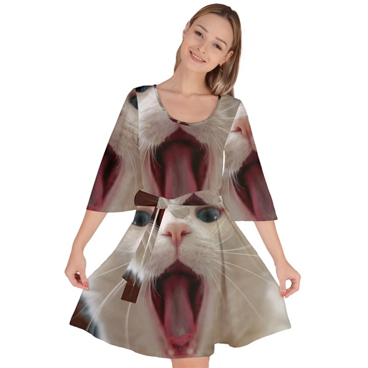 Wow Kitty Cat From Fonebook Velour Kimono Dress