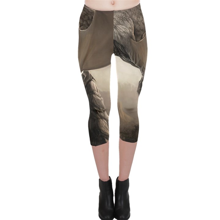 Lord Of The Dragons From Fonebook Capri Leggings 