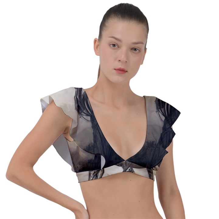 Lord Of The Dragons From Fonebook Plunge Frill Sleeve Bikini Top