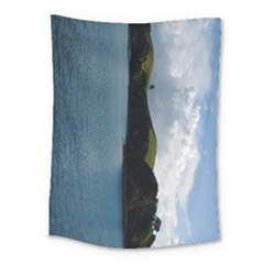 New Zealand Island Medium Tapestry by idjy