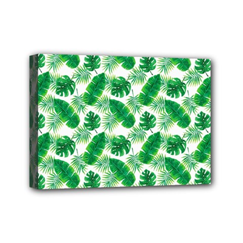 Tropical Leaf Pattern Mini Canvas 7  X 5  (stretched) by Dutashop