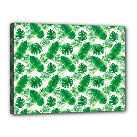 Tropical Leaf Pattern Canvas 16  X 12  (stretched)