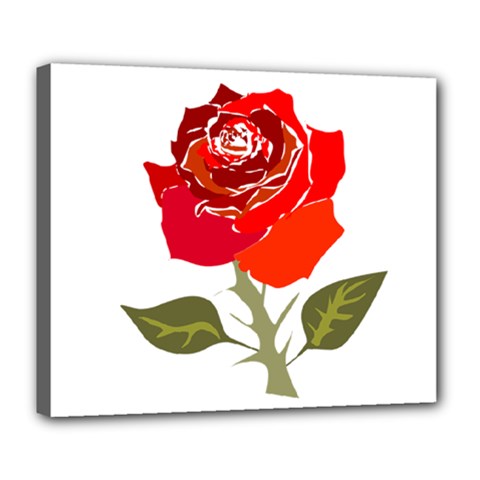 Red Rose Deluxe Canvas 24  X 20  (framed) by grafikamaria