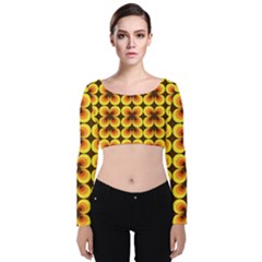 Zappwaits Retro Velvet Long Sleeve Crop Top by zappwaits