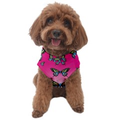 Butterfly Dog Sweater by Dutashop